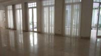 TC-CL464 - IMG_5630.JPG