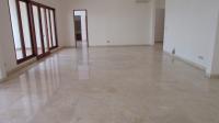 TC-PJ130 - IMG_8400.JPG