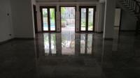 TC-PI236 - IMG_4711.JPG