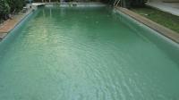 TC-KMS006 - IMG_8895.JPG
