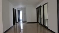 TC-CP287 - IMG_7664.JPG