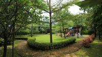 TC-CP288 - IMG_8720.JPG