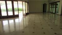 TC-CL366 - IMG_0321.JPG