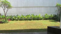 TC-KN104 - IMG_1169.JPG