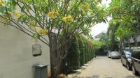 TC-KM086 - UNIT_3_IMG_4298.jpg