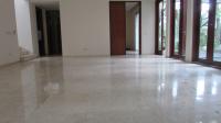 TC-CL250 - IMG_7778.JPG