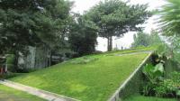 TC-PM036 - IMG_3753.JPG