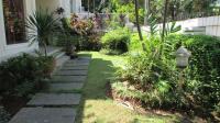 TC-KMS043 - IMG_6037.JPG