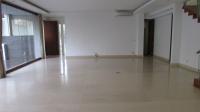 TC-CL169 - IMG_8437.JPG
