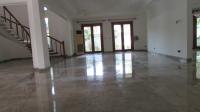 TC-PI236 - IMG_4712.JPG