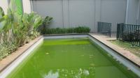 TC-CL412 - IMG_8511.JPG