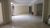 TC-CL110 - IMG_8856.JPG