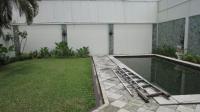 TC-PI290 - IMG_4818.JPG