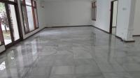TC-CL295 - IMG_3944.JPG
