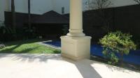 TC-PI131 - IMG_1688.JPG