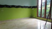 TC-PI245 - IMG_7599.JPG