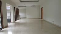 TC-PJ170 - IMG_9786.JPG