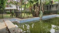 TC-PJ176 - IMG_0101.JPG