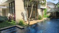 TC-CL399 - IMG_7424.JPG