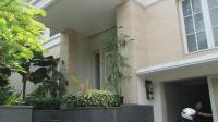 TC-PI266 - IMG_9288.JPG