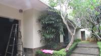 TC-KM141 - IMG_6595.JPG