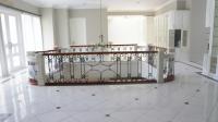 TC-PI296 - IMG_1441.JPG