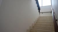 TC-CL260 - IMG_0068.JPG