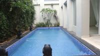 TC-CL129 - IMG_2921.JPG