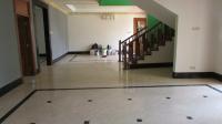 TC-CL377 - IMG_5301.JPG