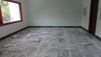 TC-CL376 - IMG_5286.jpg
