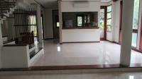 TC-CP168 - IMG_6506.JPG