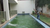 TC-PI265 - IMG_9282.JPG