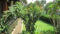 TC-PI064 - IMG_4606.JPG