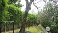 TC-PJ067 - IMG_4108.JPG