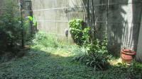 TC-CL072 - IMG_1089.JPG