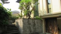TC-PI171 - IMG_4669.JPG