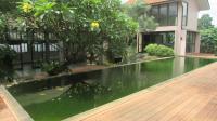TC-CL350 - IMG_1848.JPG
