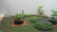 TC-PI068 - IMG_5437.JPG