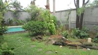 TC-PJ142 - IMG_7615.JPG
