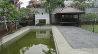 TC-PJ175 - IMG_0042.JPG