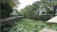 TC-PM036 - IMG_3754.JPG