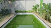 TC-CL412 - IMG_8509.JPG