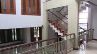 TC-CP213 - IMG_6717.JPG