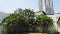 TC-PI264 - IMG_9197.JPG