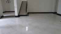 TC-PI266 - IMG_9291.JPG