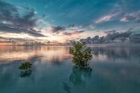 bg-parallax-010.jpg